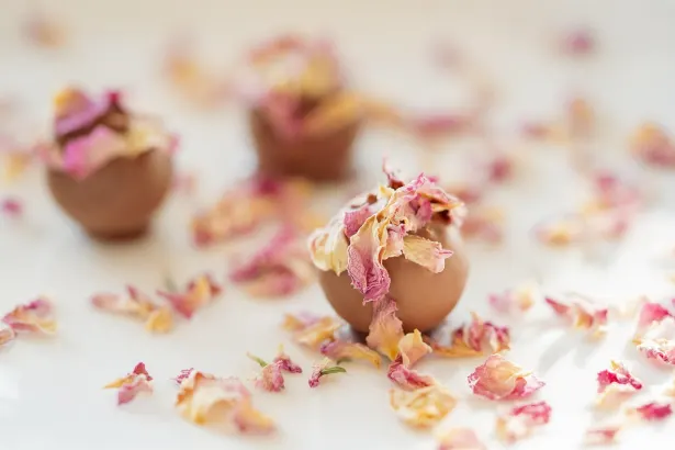 Pelican Kazino Android/iOS programa